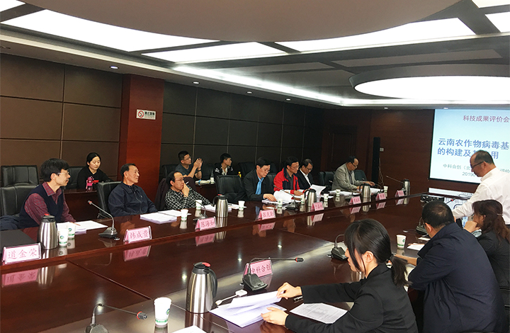 云南农作物病毒基因库的构建及其应用 anli.jpg